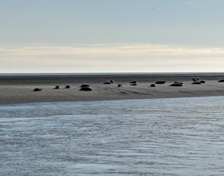 Berck-sur-Mer - March 2019