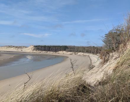 Berck-sur-Mer - March 2019