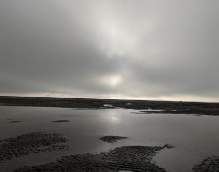 Berck-sur-Mer - March 2019