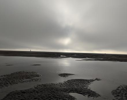 Berck-sur-Mer - March 2019