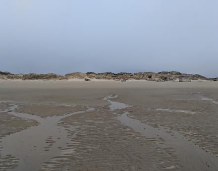 Berck-sur-Mer - March 2019