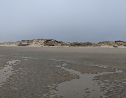 Berck-sur-Mer - March 2019