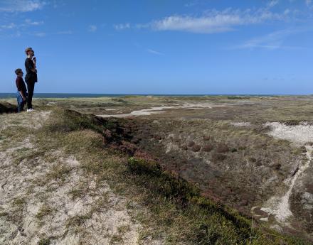 EgmondAanZee Dunes