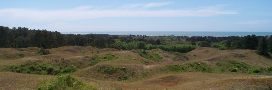 Dunes Mt St Frieux